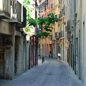 Housing Ginesta 9 Appartamento